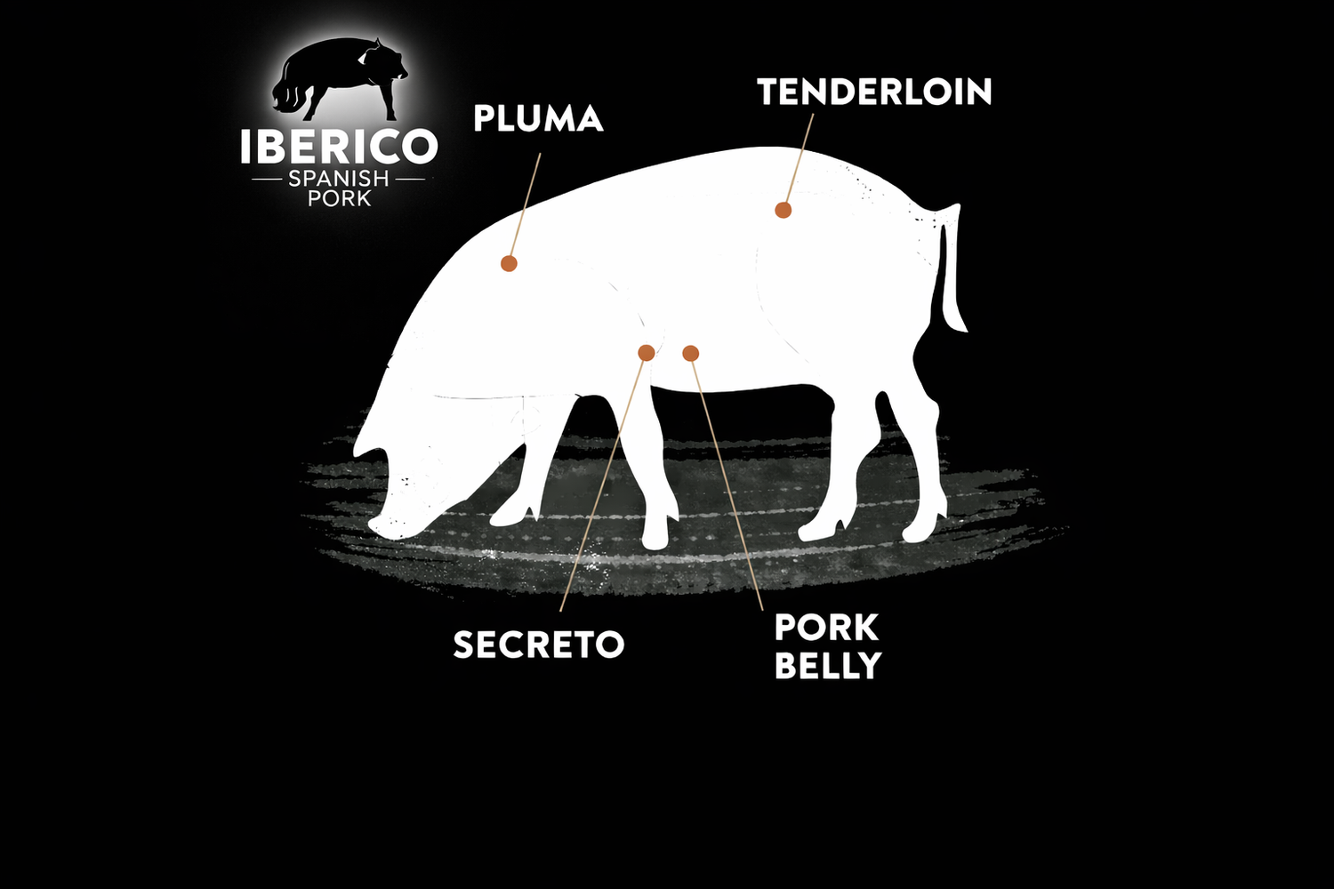 Frozen Spanish Iberico Pork - Tenderloin